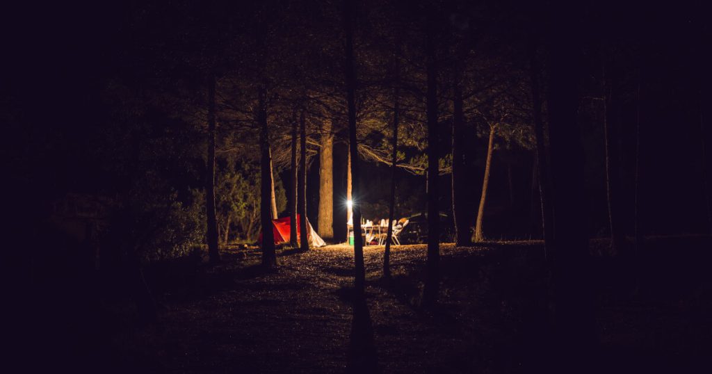 キャンプ場 夜の林間サイト